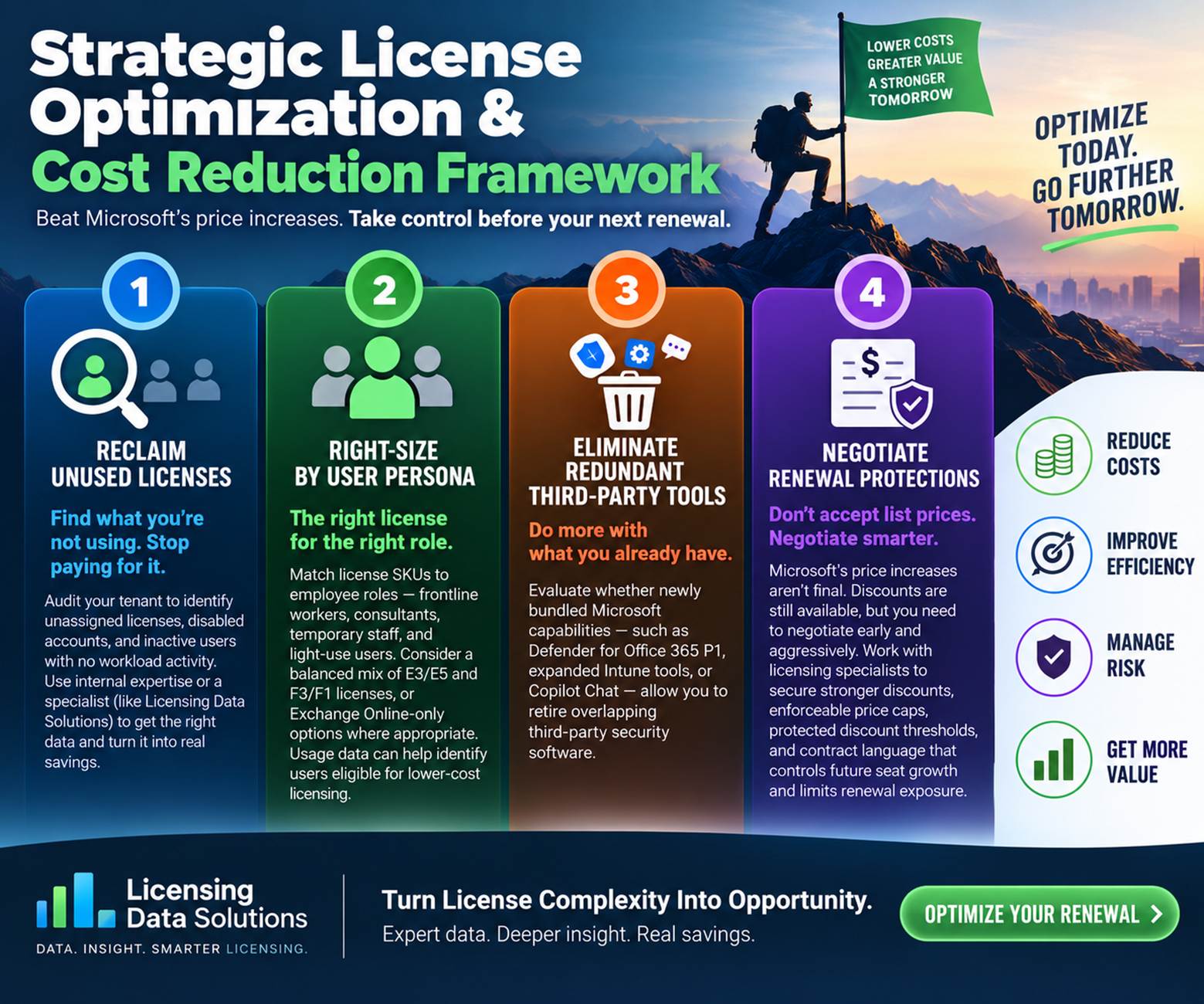 Strategic license optimization and cost reduction framework